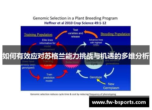 如何有效应对苏格兰能力挑战与机遇的多维分析
