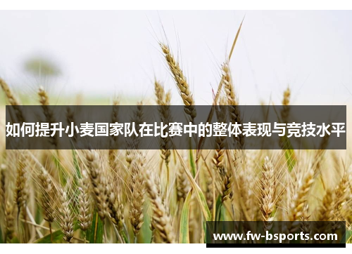 如何提升小麦国家队在比赛中的整体表现与竞技水平