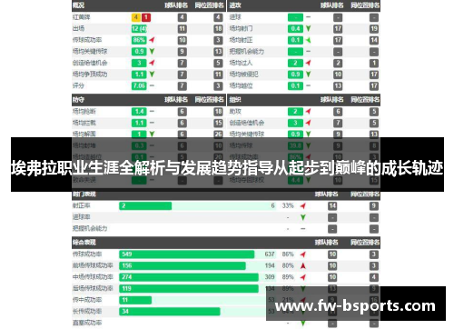 埃弗拉职业生涯全解析与发展趋势指导从起步到巅峰的成长轨迹