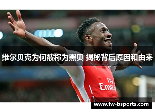 维尔贝克为何被称为黑贝 揭秘背后原因和由来