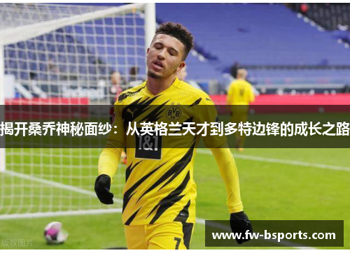 揭开桑乔神秘面纱:从英格兰天才到多特边锋的成长之路 揭开桑乔神秘面纱:从英格兰天才到多特边锋的成长之路