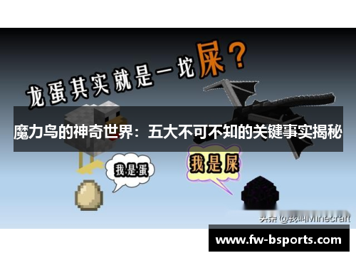 魔力鸟的神奇世界：五大不可不知的关键事实揭秘