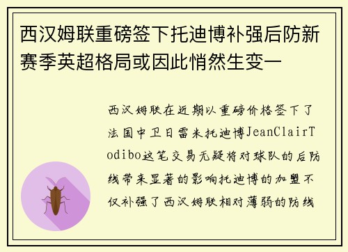 西汉姆联重磅签下托迪博补强后防新赛季英超格局或因此悄然生变一